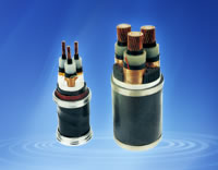 ��������ϩ��Ե��������