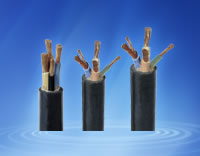 ͨ�����������£����ߣ�